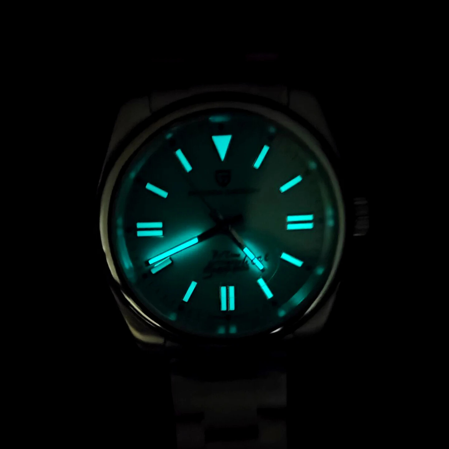 PAGANI DESIGN Luxury Classic M - Seiko Watch Prospex 评论和价格